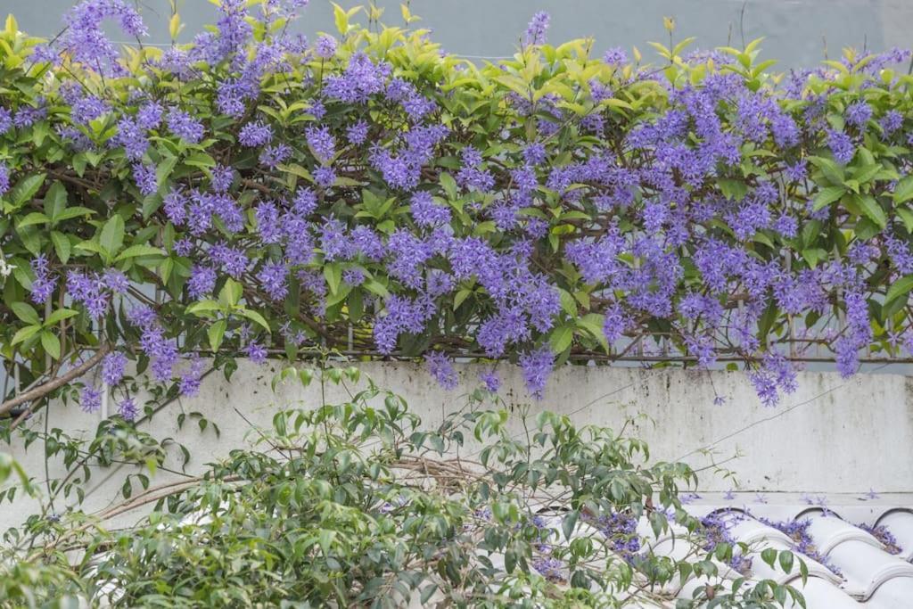 Morada Das Flores Porto Alegre Kültér fotó