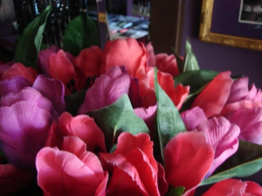 Morada Das Flores Porto Alegre Kültér fotó