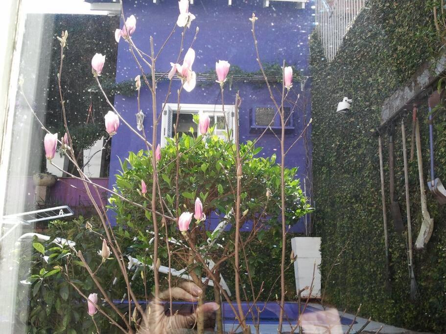 Morada Das Flores Porto Alegre Kültér fotó